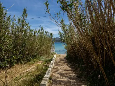 Cap Nègre : Domaine de la Pinède, Appartement 6 personnes à Le Lavandou - Photo 21