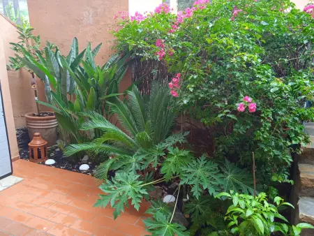 Appartement confortable à Casares Costa avec piscine communale et animaux admis - Photo 18