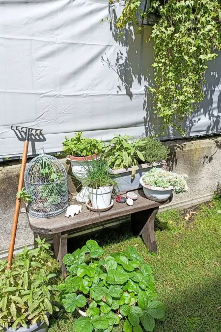 Olmo Garden Apartment, Appartement 4 personnes à Valtellina - Photo 24