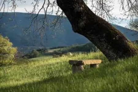 Appartamento 4 persone, Retraite élégante en Ombrie - Photo 26