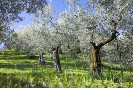 Appartamento 4 persone, Retraite élégante en Ombrie - Photo 30
