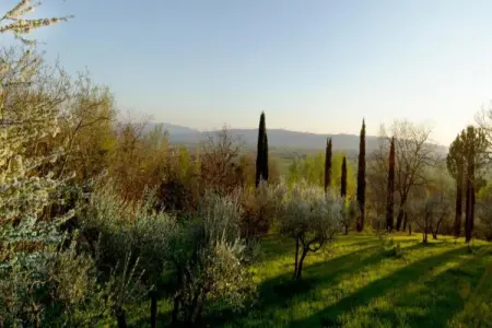 Appartamento 4 persone, Retraite élégante en Ombrie - Photo 31
