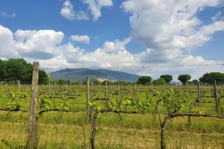 Appartamento 4 persone, Retraite élégante en Ombrie - Photo 34