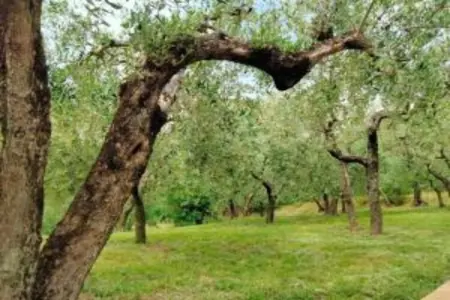 Appartamento 4 persone, Retraite élégante en Ombrie - Photo 36