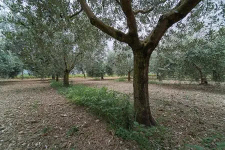 Appartamento 4 persone, Retraite élégante en Ombrie - Photo 39