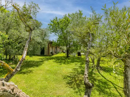 Padronale, Appartement 4 personnes à Greve in Chianti - Photo 48