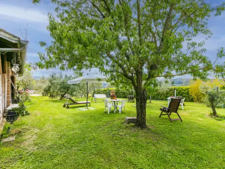 Padronale, Appartement 4 personnes à Greve in Chianti - Photo 64