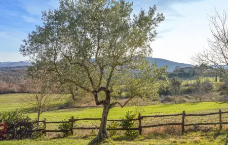 Appartement 4 personnes à Anghiari - Photo 18