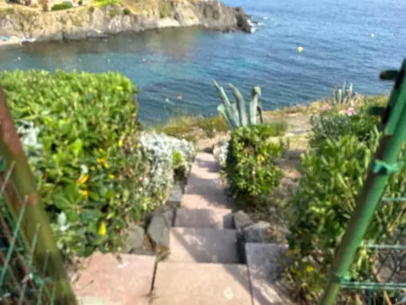 Charmant T2 à Port-Vendres, accès direct plage, parking privé - Photo 4