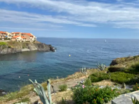 Charmant T2 à Port-Vendres, accès direct plage, parking privé - Photo 6