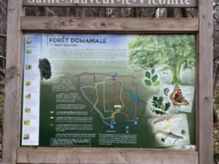 Charmante maison en nature avec animaux acceptés à Besneville - Photo 23