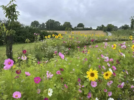 Longère Percheronne avec jardin clos et cheminée luxueuse - Photo 34