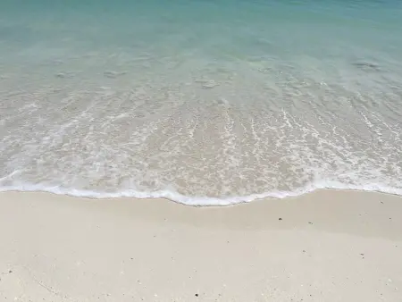 Villa à 2 min de la Plage d'Orient Bay, Appartement 4 personnes à Saint Martin - Photo 18