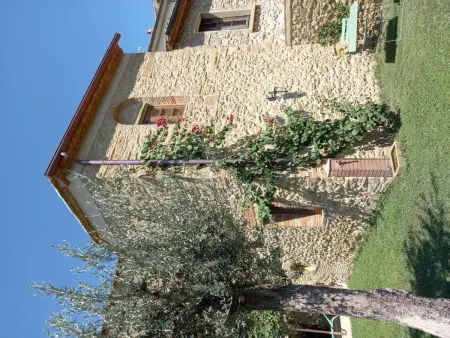 Villino PERO, Maison 3 personnes à Montescudaio - Photo 31