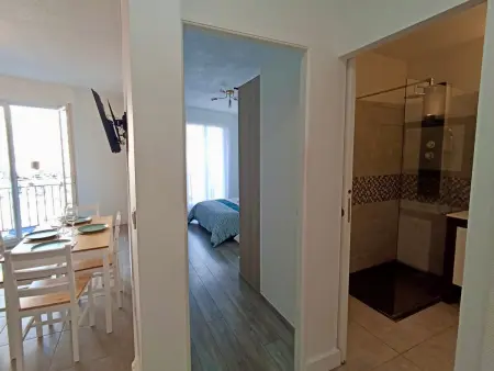 Appartement T2 à Sète avec parking et animaux admis, proche gare et plages - Photo 11
