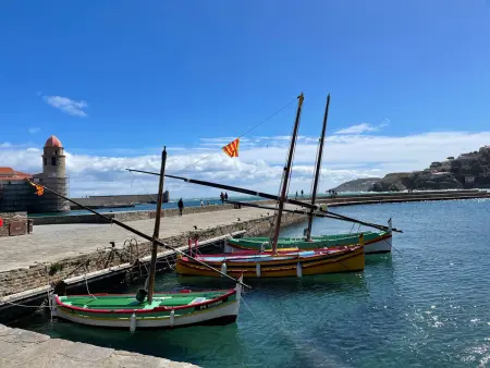 Joli T2 à Collioure, accès direct plage, climatisation, parking privé - Photo 9