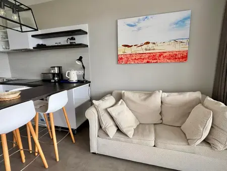 Appartement 1 chambre mer, plage, piscine, parking, clim, animaux admis - Photo 13