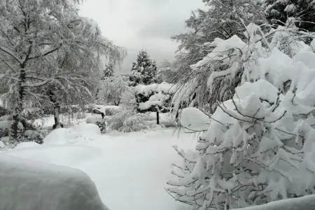 329111, Maison de vacances Le Sine Nomine - Photo 22