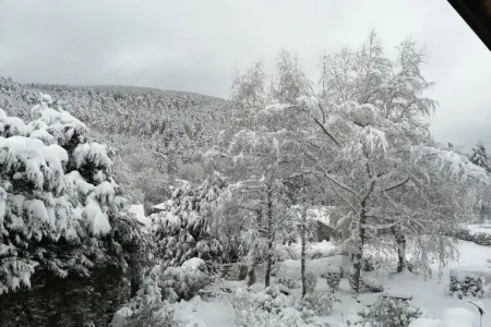 329111, Maison de vacances Le Sine Nomine - Photo 23
