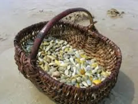 Maison 3 chambres, au calme, proche plage, fibre internet - Photo 20