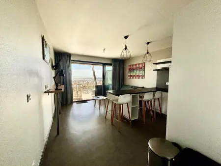 Appartement 2 chambres, balcon, piscine chauffée, accès plage, animaux admis, parking - Photo 11
