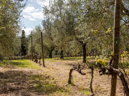 Villa Marsiliana, Villa 10 personnes à Massa Marittima - Photo 54