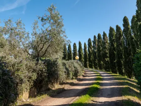 Villa Marsiliana, Villa 10 personnes à Massa Marittima - Photo 55