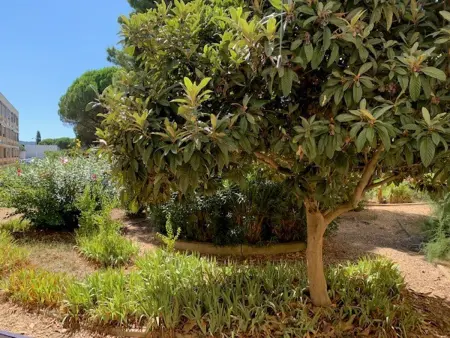 Charmant appartement proche des Thermes à Balaruc-les-Bains, animaux admis, climatisé - Photo 8