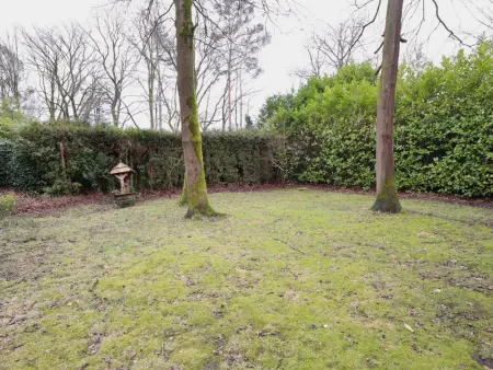 Sonnig Bungalow, Beau bungalow avec jardin dans une régionboisée - Photo 24