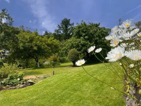 Alegria, Maison avec poêle à bois & jardin spacieux - Photo 10