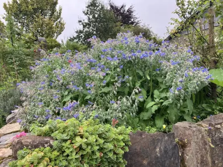 Alegria, Maison avec poêle à bois & jardin spacieux - Photo 42