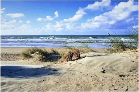 3792, Retraite moderne Seagull's Nest - Photo 22