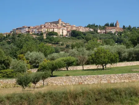 Danieli, Villa de luxe avec beau jardin et piscine privée - Photo 53