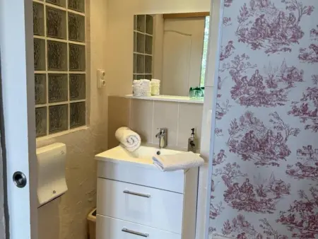 Maison de campagne XIXe avec piscine partagée et animaux admis - Photo 8