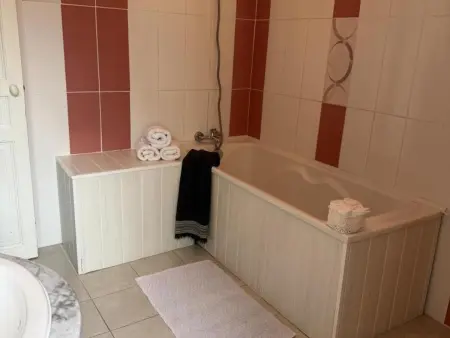 Maison de campagne XIXe avec piscine partagée et animaux admis - Photo 20