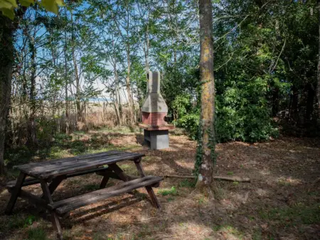 Le Pigeonnier de Villefloure, Maison de charactère avec piscine privé - Photo 19