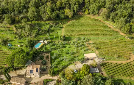 Maison 6 personnes à Greve in Chianti - Photo 10