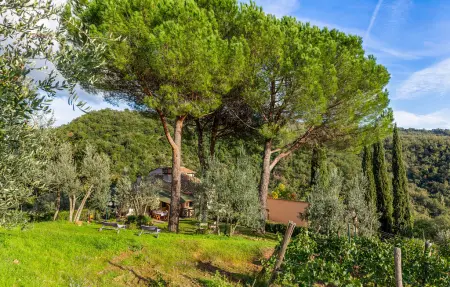 Maison 6 personnes à Greve in Chianti - Photo 19