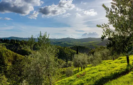 Maison 6 personnes à Greve in Chianti - Photo 29