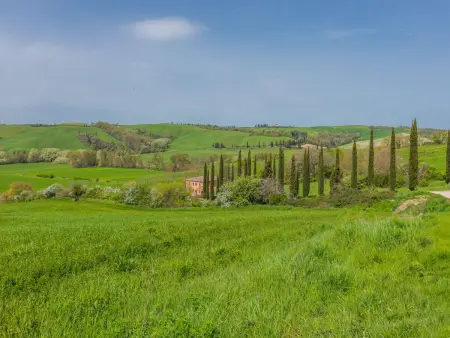 Podere Vetricella, Maison 8 personnes à Buonconvento - Photo 66