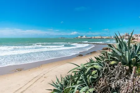 Finca Santo Domingo, Maison de vacances à Cadiz près de la mer - Photo 25