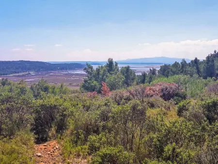 La maison du carignan, Maison 6 personnes à Narbonne Plage - Photo 27
