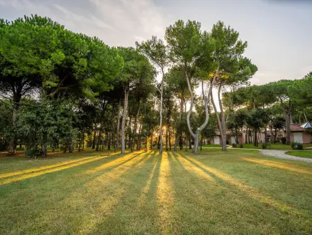 Morellino, Maison 6 personnes à San Vincenzo - Photo 17