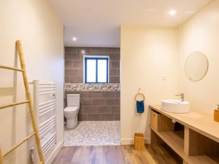 Gîte 3 chambres avec jardin et animaux acceptés, près de Sarlat - Photo 11
