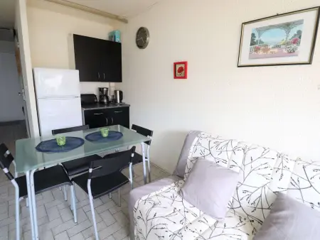 Studio avec Terrasse et Parking au Grau-du-Roi, Appartement 4 personnes à Le Grau du Roi - Photo 6