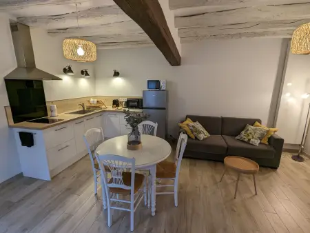 Gîte de charme avec jardin et parking privé près de Paris et Orléans - Photo 12