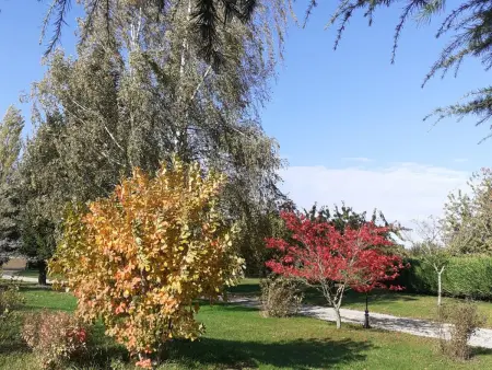 Gîte de charme avec jardin et parking privé près de Paris et Orléans - Photo 23