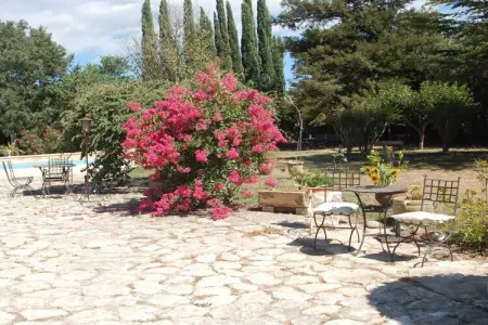 453364, Retraite moderne en Camargue - Photo 6