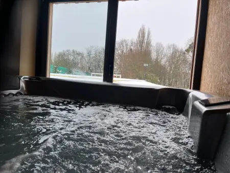 Gîte luxueux avec piscine, spa, jardin et équipements de loisirs à Sargé-lès-le-Mans - Photo 16