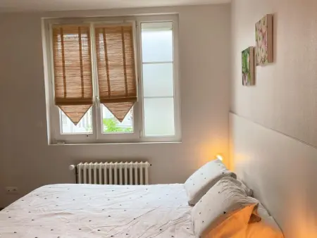 Gîte familial proche des châteaux de la Loire, animaux admis, jardin privé - Photo 6